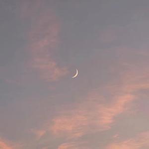 性欧美❌❌潮喷水口
