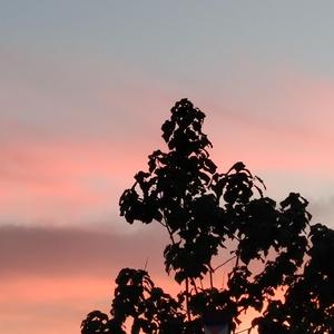 性欧美❌❌潮喷水口
